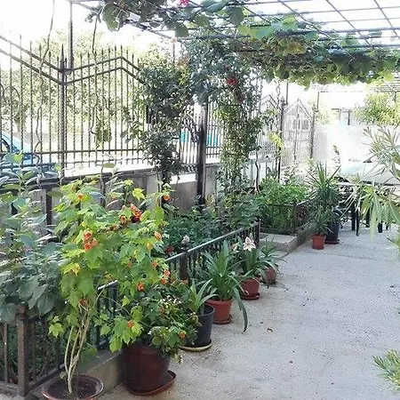 Gæstehus Dracena
